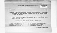 Uromyces pisi-sativi image